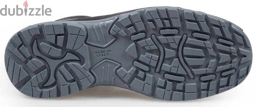Bicap Tiger S3 SRC 1