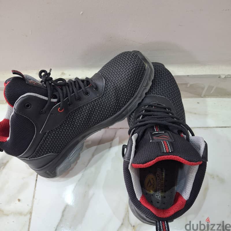 Bicap Tiger S3 SRC 2