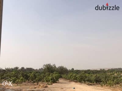 مزرعة  ثمانية  فدان فضاء  بموقع مميز جدا بجمعيه احمد عرابي بخط وسط منطقة  قصور و فيلل و بالقرب من طريق احمد بدوي وتبعد ثلاثة دقائق عن محور خط 7 الجديد