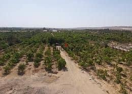 Opportunity in a location that will not happen again, a farm of eight acres at a corner with Ahmed Badawy, planted with the Ahmed Arabi Association along the middle line in an area of palaces and villas directly located on the new axis of the gathering.
