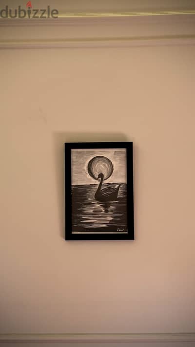 Black and white Swan