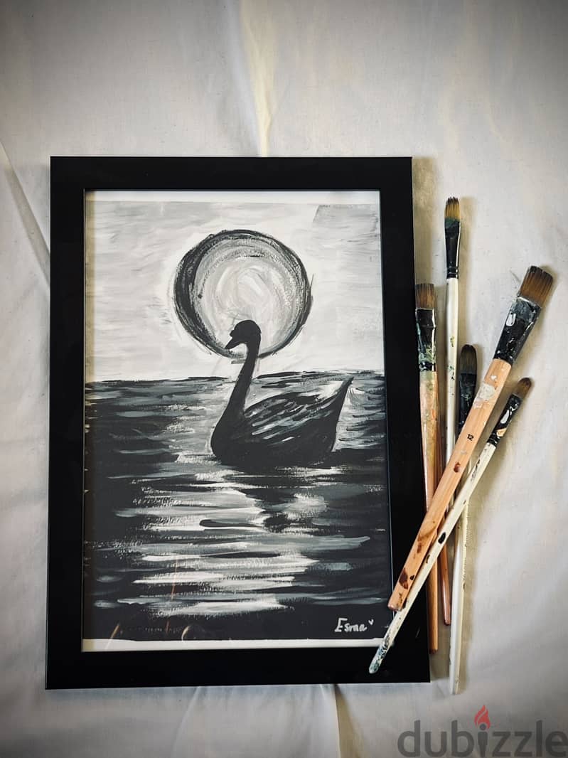 Black and white Swan 1
