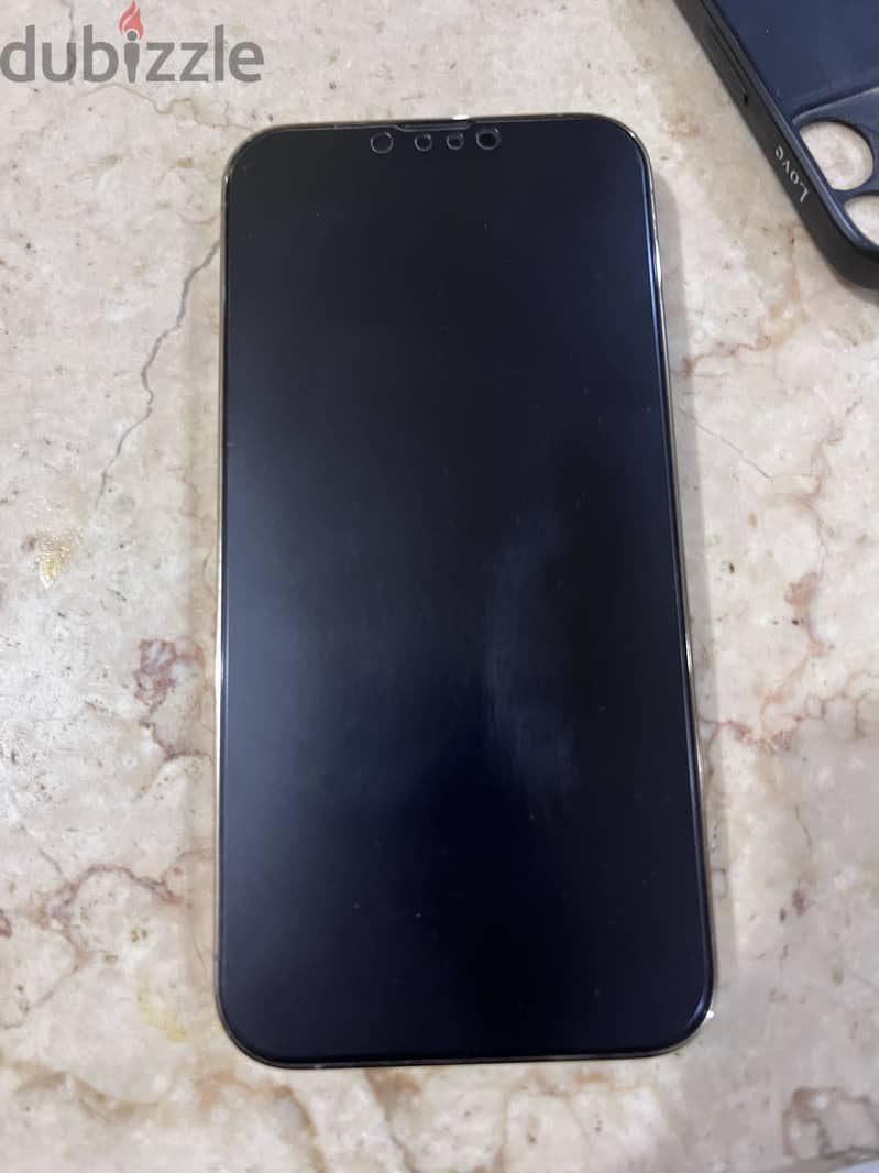 Apple - iPhone 13 Pro Max 1