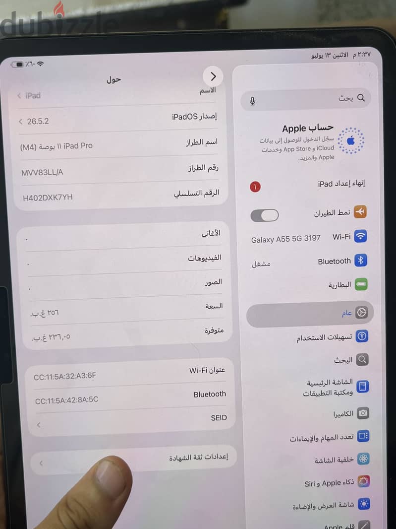 iPad Pro  m4 6
