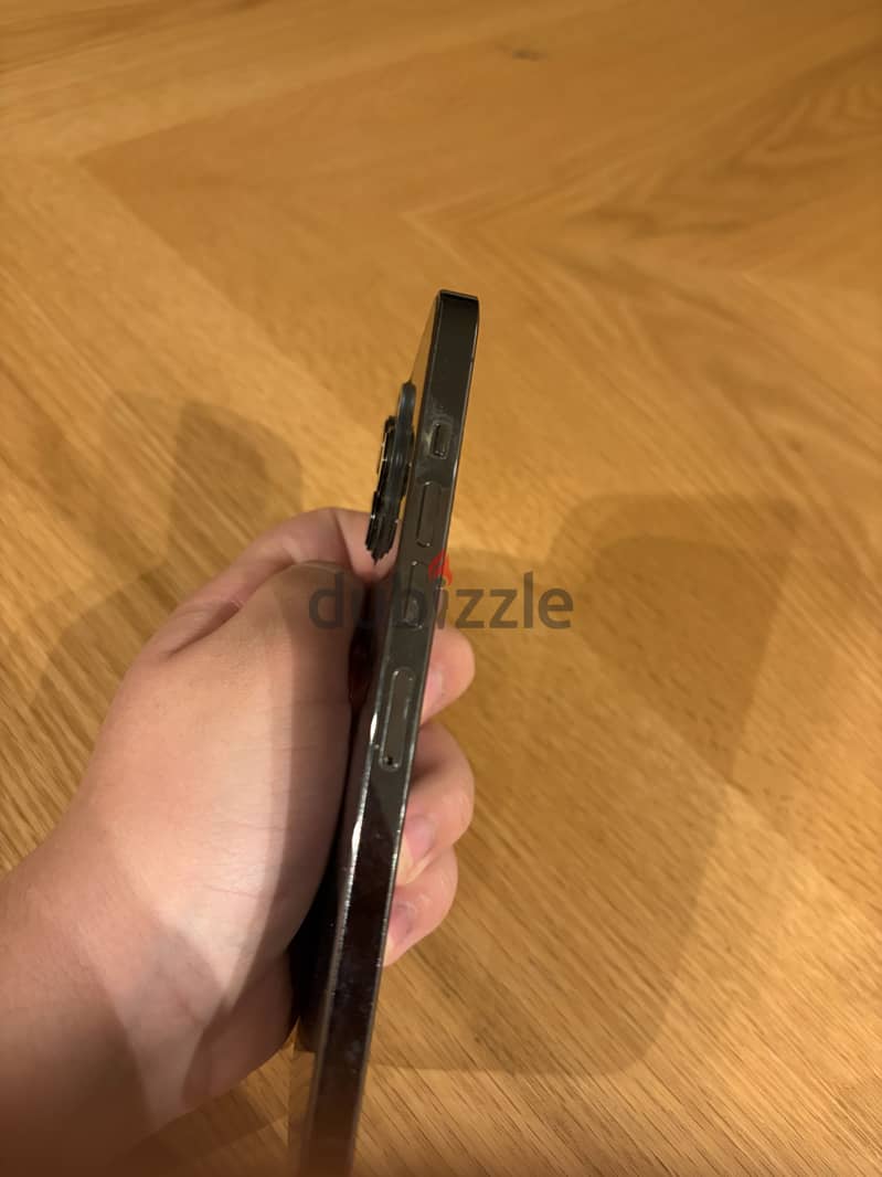 Apple - iPhone 13 Pro Max 1