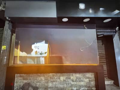 محل بطريق الحريه مباشرة للتوكيلات و البرمودات