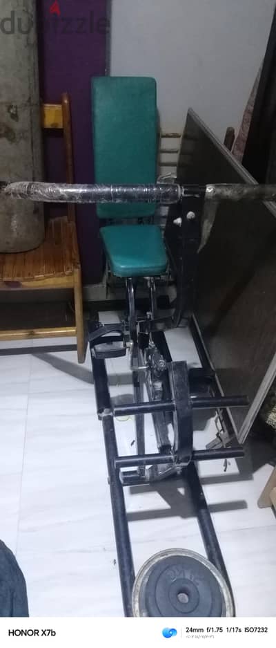 عجلة البطن