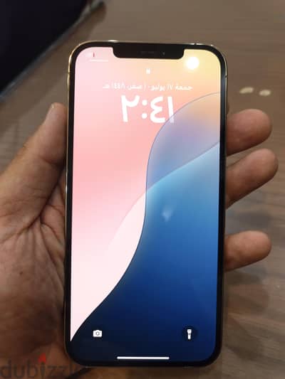 Apple - iPhone 12 Pro Max