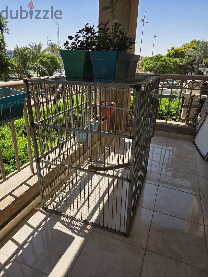 cage pets 1