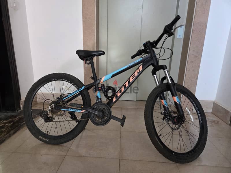 bicycle 1