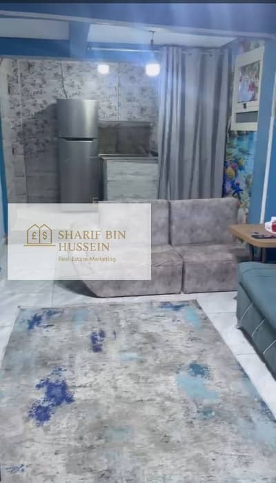 Furnished apartment for rent in Dokki Furnished apartment for rent in Dokki