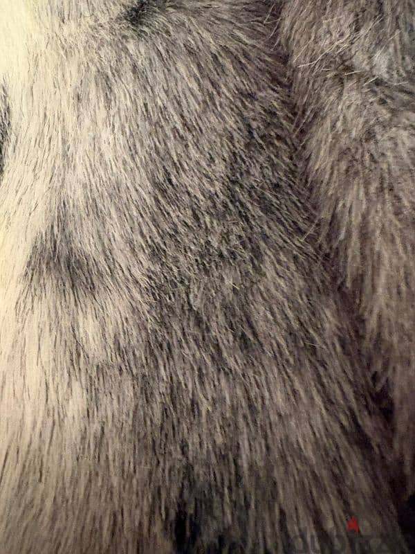 fur jacket 3