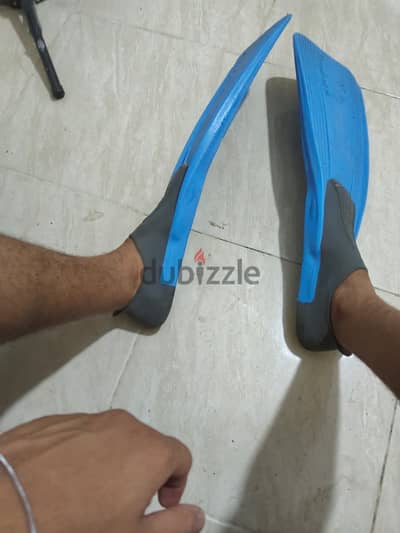 زعانف كريسي