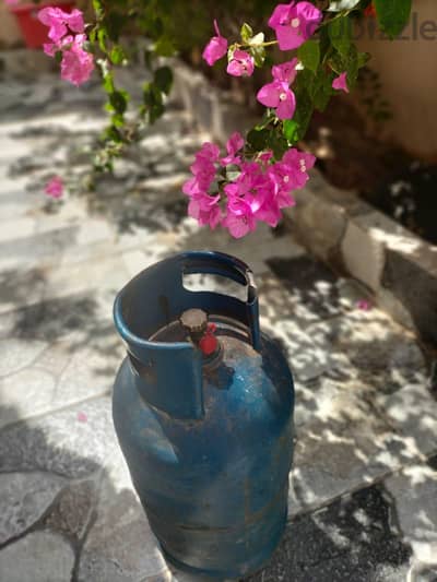 أنبوبة بوتاجاز