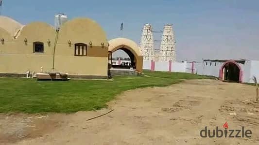 مزرعه لقطه 15 فدان مسجله من المحافظه مباشر