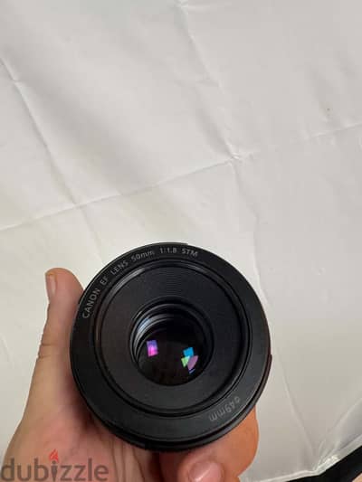 Canon 50 1.8 stm
