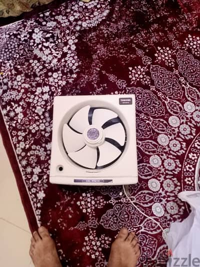 المعادي