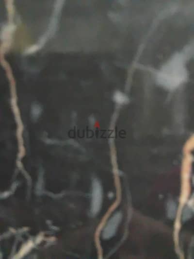 اتوبيس رحلات