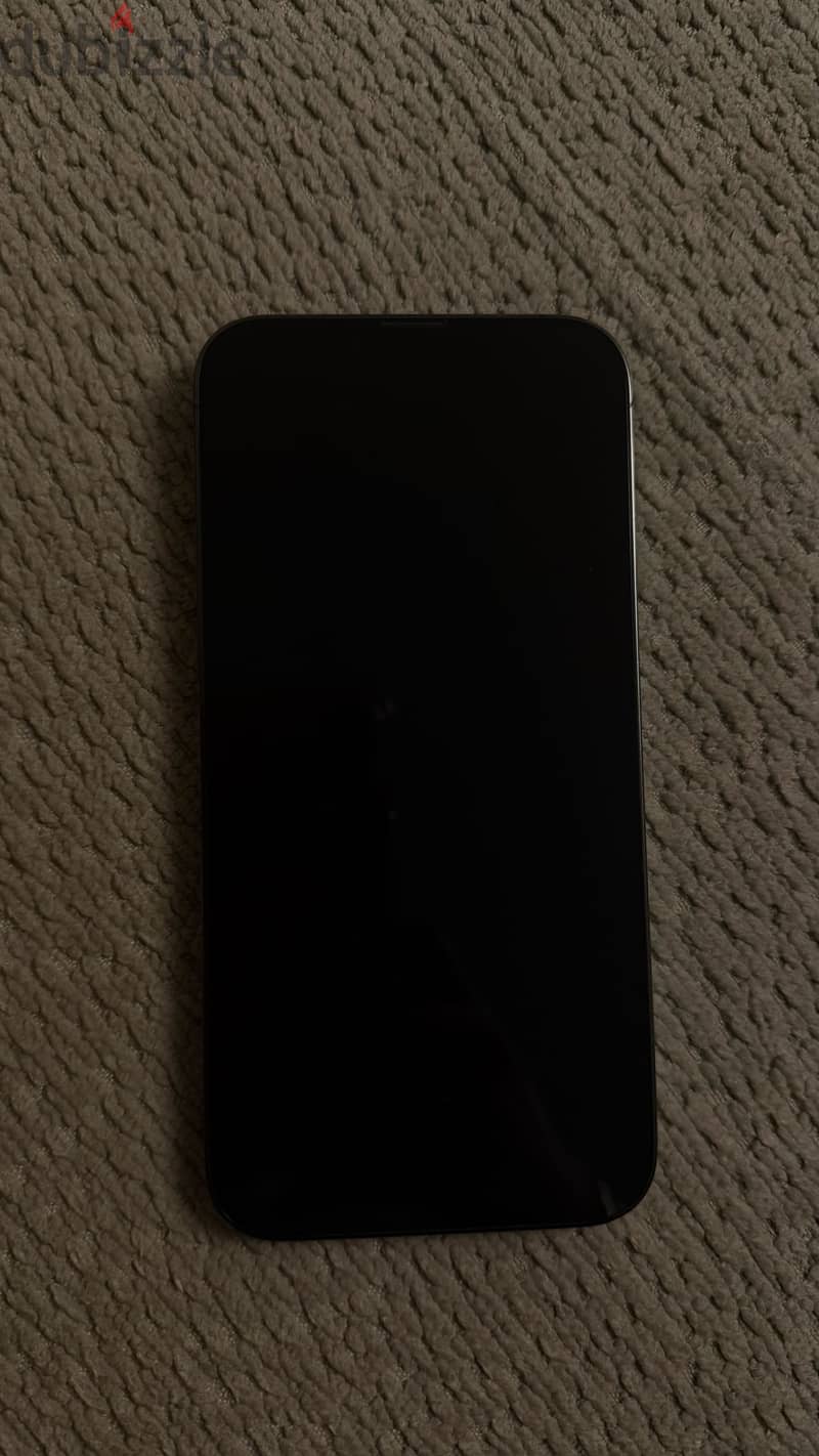 Apple - iPhone 13 Pro Max 1