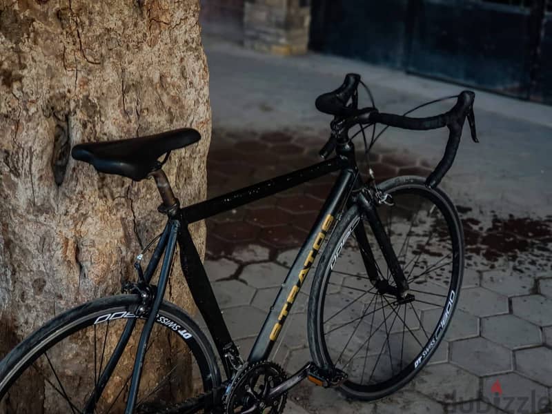 Polygon stratus for sale 10