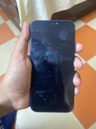 ايفون ١٢ عادي