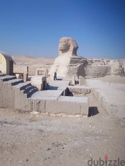 سامسونج A36 /12/512