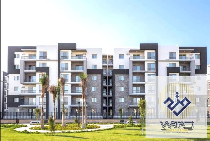 Jena Zayed Compound 0 Jena Zayed Compound 0