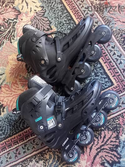 Cougar 509 (45)