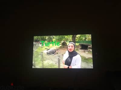 15مايو حلوان