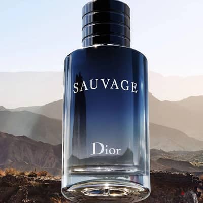 Dior Sauvage Eau De Toilette Men's Perfume (200ml)
