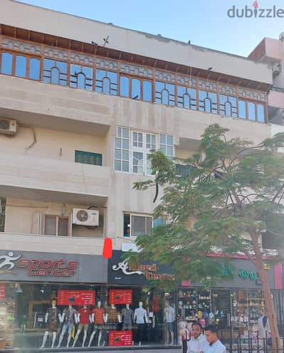 investment opportunity mamsha sherry Hurghada Red sea
