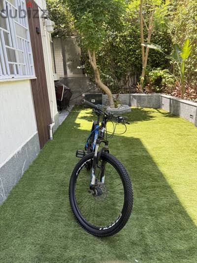 Alvas Farmox bike 26