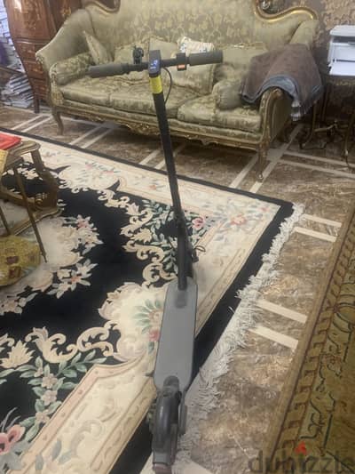 Xiamio electric scooter