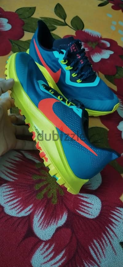Nike Pegasus