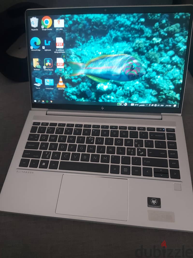 elite book 256 ssd 1