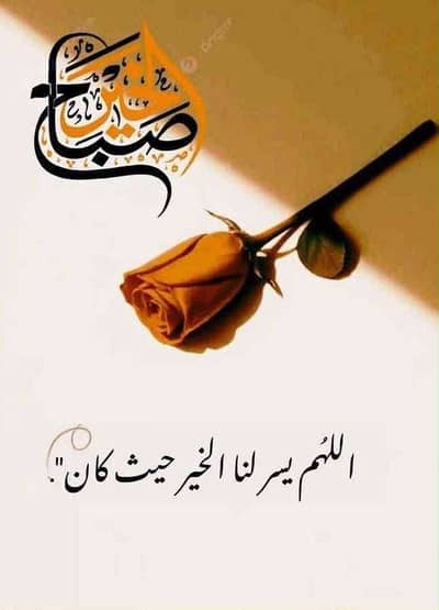 mohamedabdo