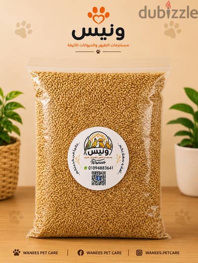 فلارس درجه اولى ممتاز