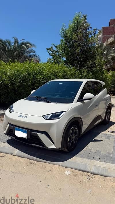 بى واى دى سيجال 2025