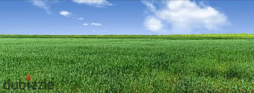 25 acres for rent in Wadi Al-Natrun 6 October_Giza