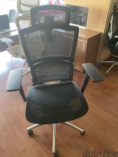 Kanjal Ergonomic Office / Desk Chair – Excellent Condition