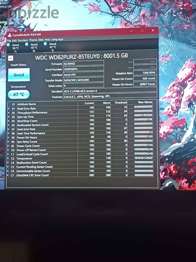 WD purple 8tb 1