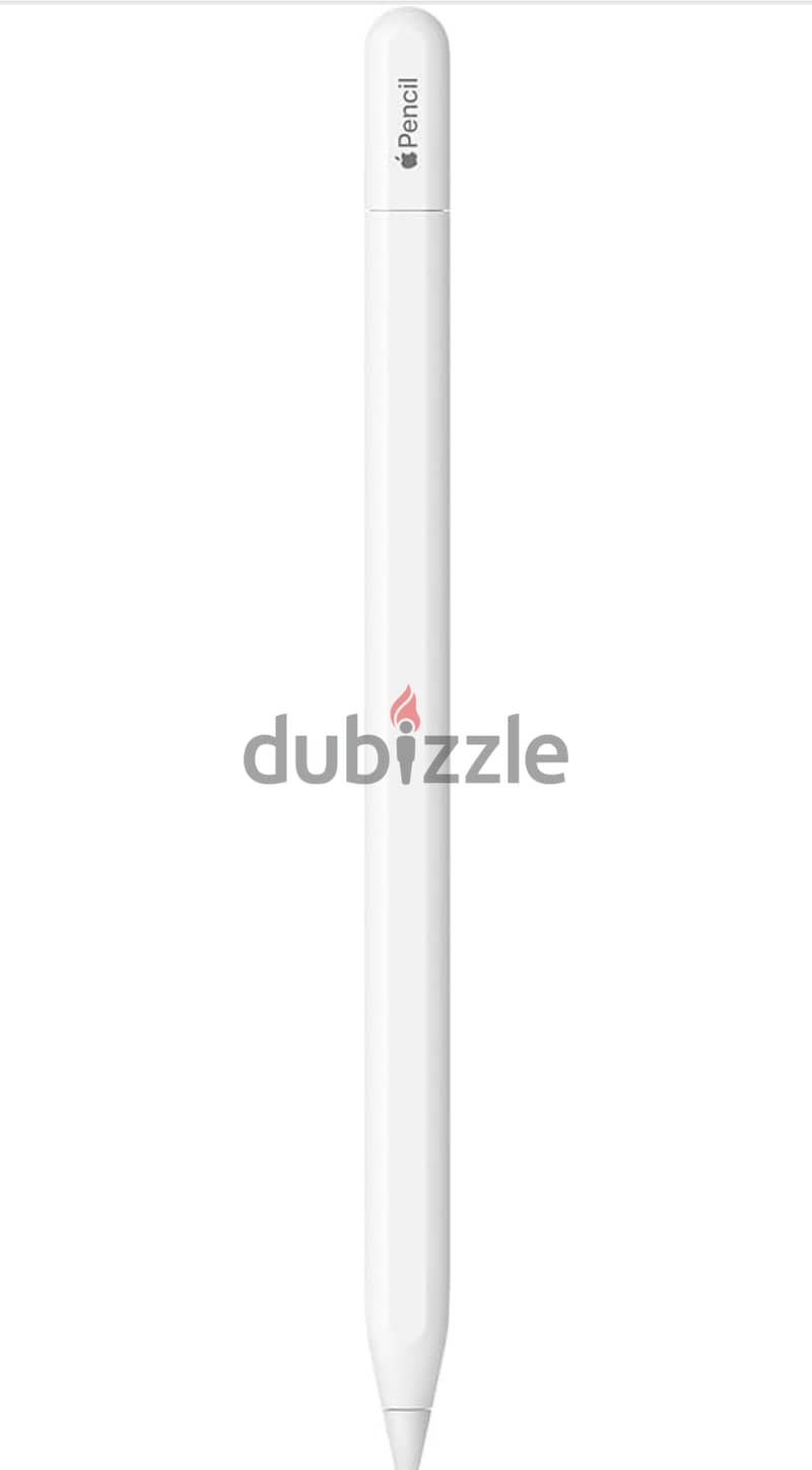 Apple Pencil (USB-C) 1