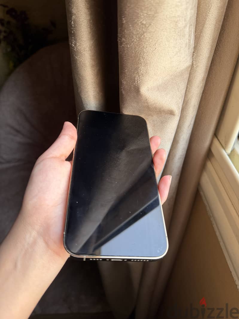 Apple - iPhone 13 Pro Max 2