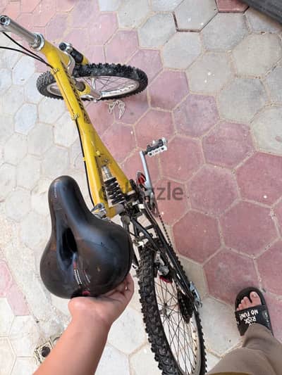 عجله بس