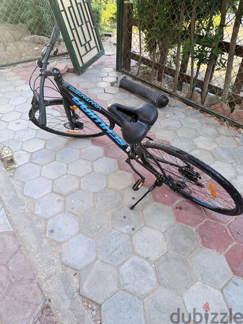 Bicycle 2