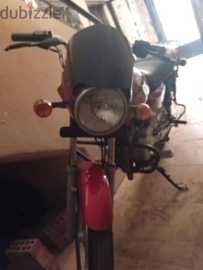 بجاج بوكسر 2019