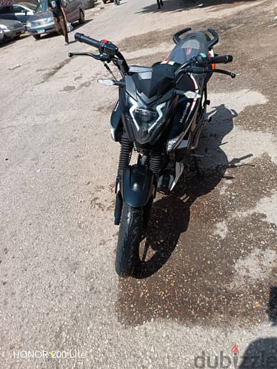هوجن z250