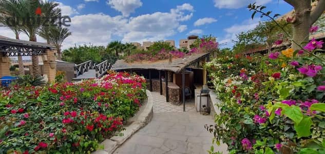 دلوقتي تقدر تمتلك شاليه 100م غرفتين +2 حمام Sea View في العين السخنة بأفضل سعر بعد الخصم، في لاجونا باي قريه شغاله بالفعل