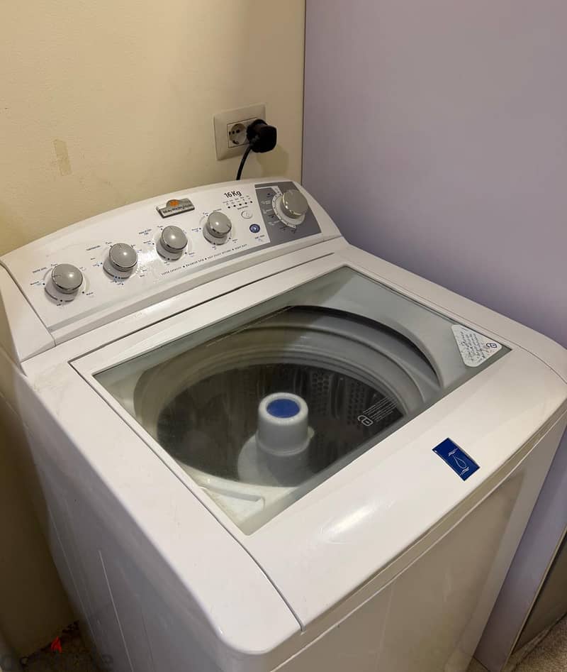 White Point, quick, deep cleaning Machine 1