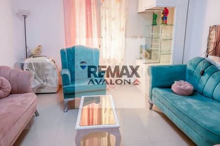 Furnished Apartment for Rent in (Zizinia – Abu Qir Street)
